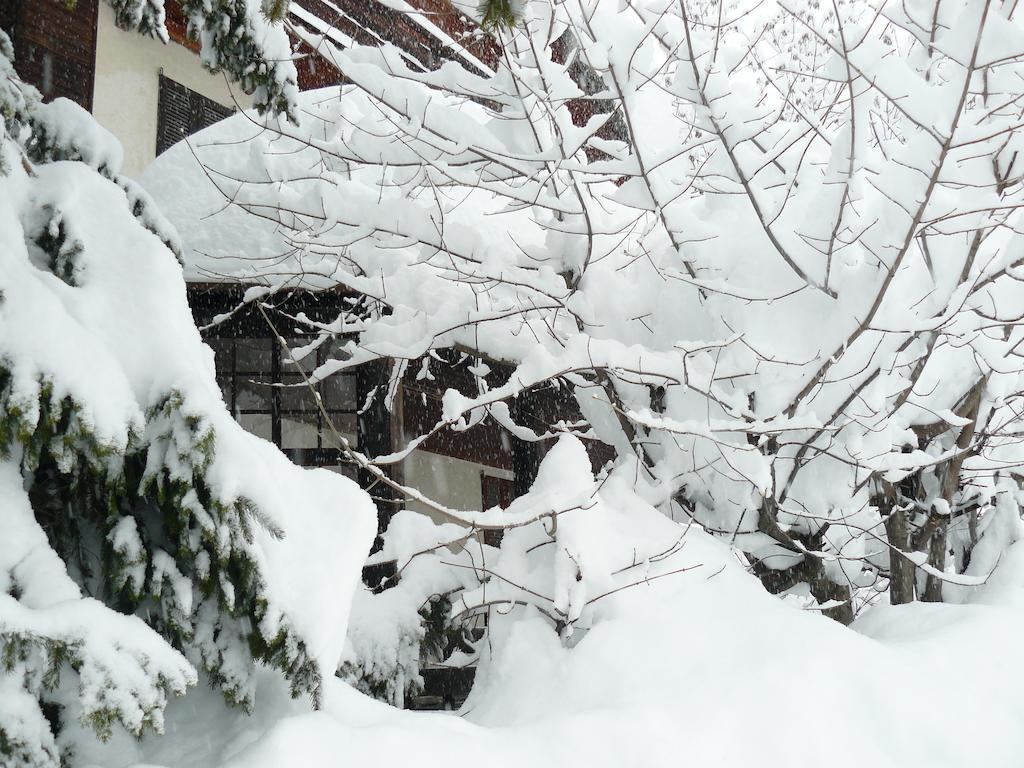 Residence Felik Gressoney-la-Trinité Exterior foto